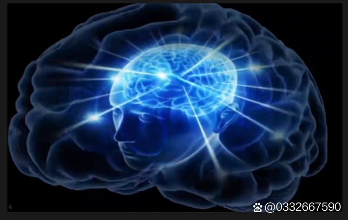 某顶流明星深夜被拍与神秘女子共进晚餐,疑似新恋情曝光!